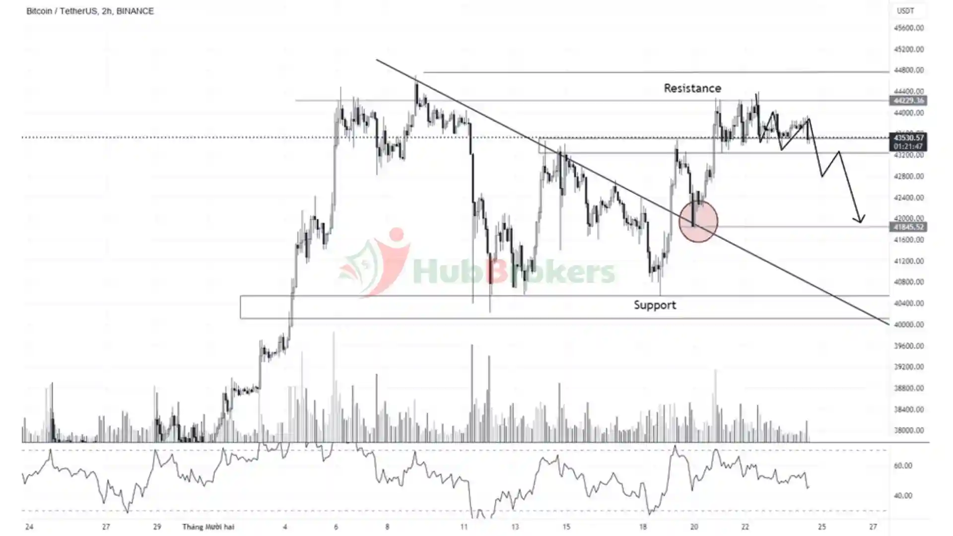 Bitcoin Gặp Áp Lực Bán Trước Sự Kiện Halving Trên Sàn Giao Dịch Bitfinex