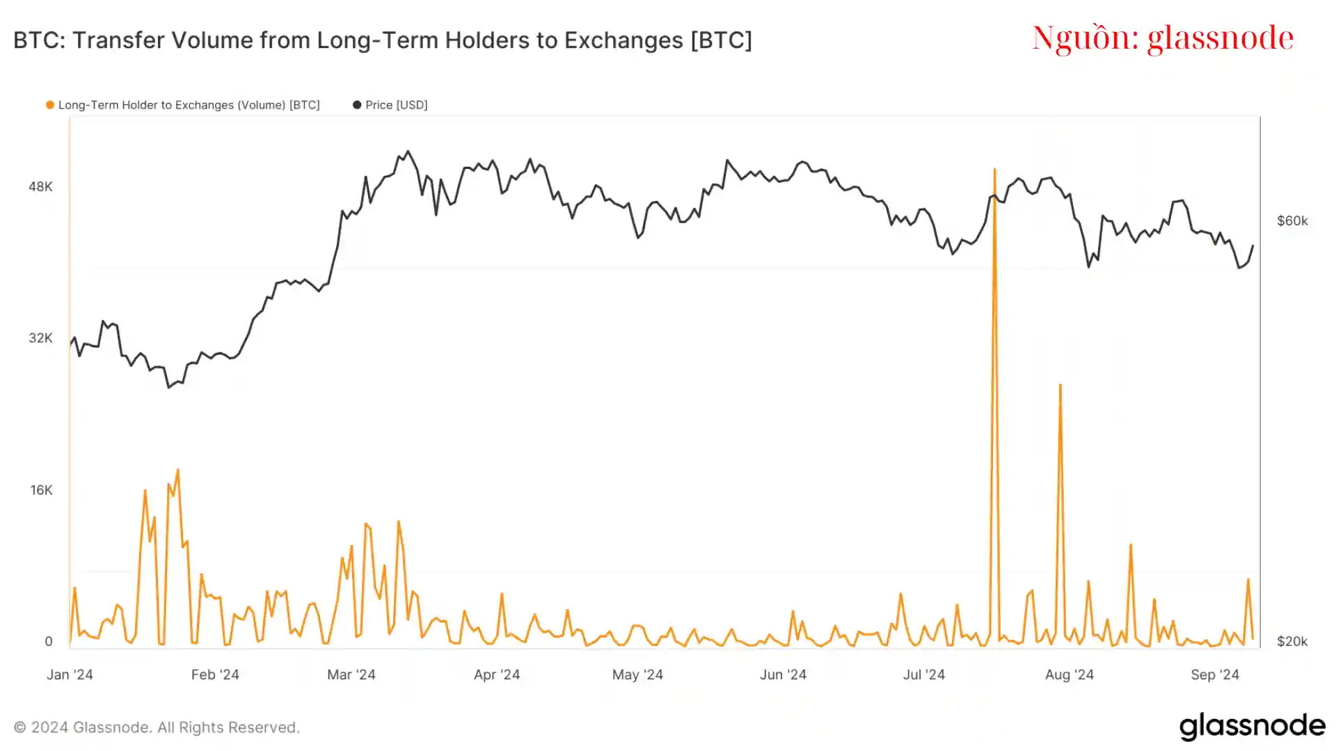 Nhà Đầu Tư Bitcoin Dài Hạn Kiên Trì Giữ Vị Thế Dù Giá Giảm Trong Năm 2024 - Ngày 11/09/2024
