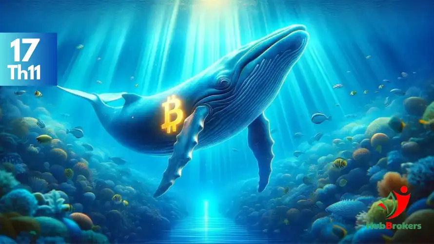 Bitcoin Có Khả Năng Điều Chỉnh Trước Khi Tiến Đến Cột Mốc 100.000 USD - Ngày 17/11/2024