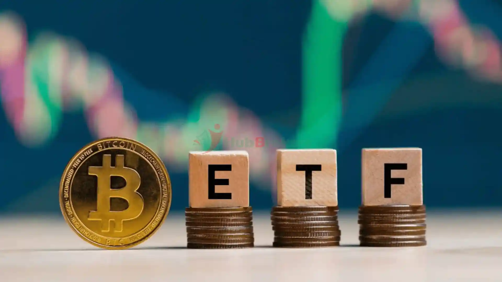 Bitcoin ETF Dẫn Đầu, Lợi Nhuận Vượt Xa Vàng ETF Sau Khi Ra Mắt - Ngày 05/11/2024