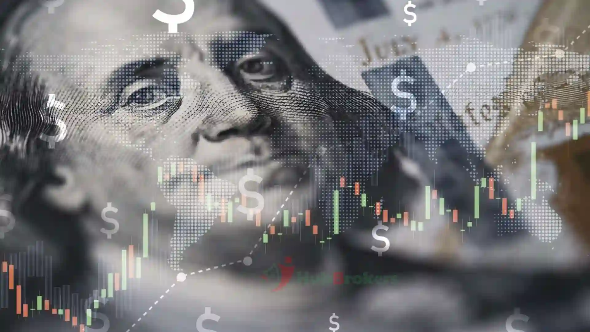 Đô La Mỹ Tăng Lên Mức Cao Nhất Trong Hai Tuần So Với Euro - Ngày 02/09/2024