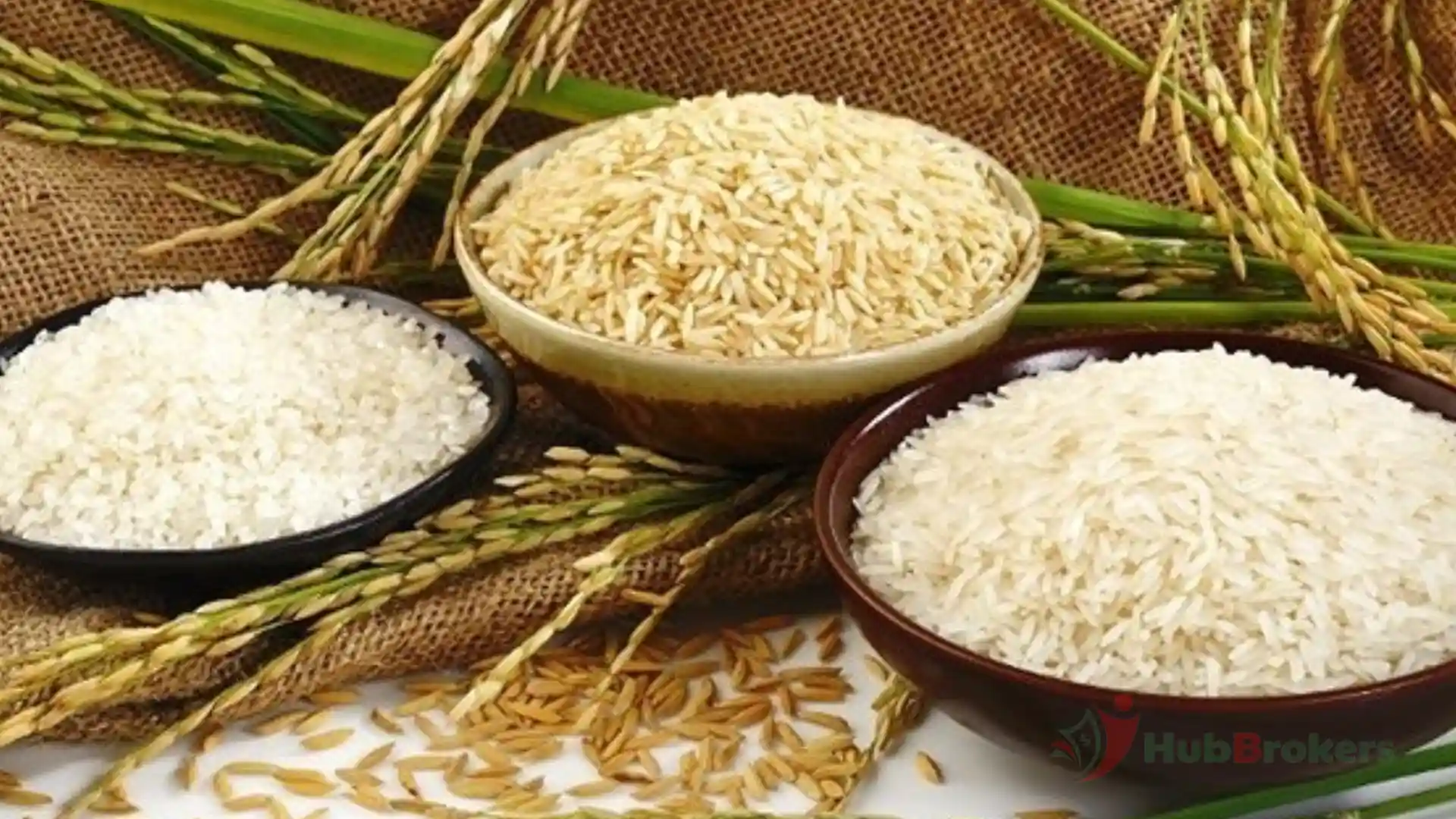 Xuất Khẩu Gạo Việt Chạm Mốc 5 Tỷ USD Nhưng Vẫn Thiếu Thương Hiệu Cao Cấp - Ngày 24/11/2024