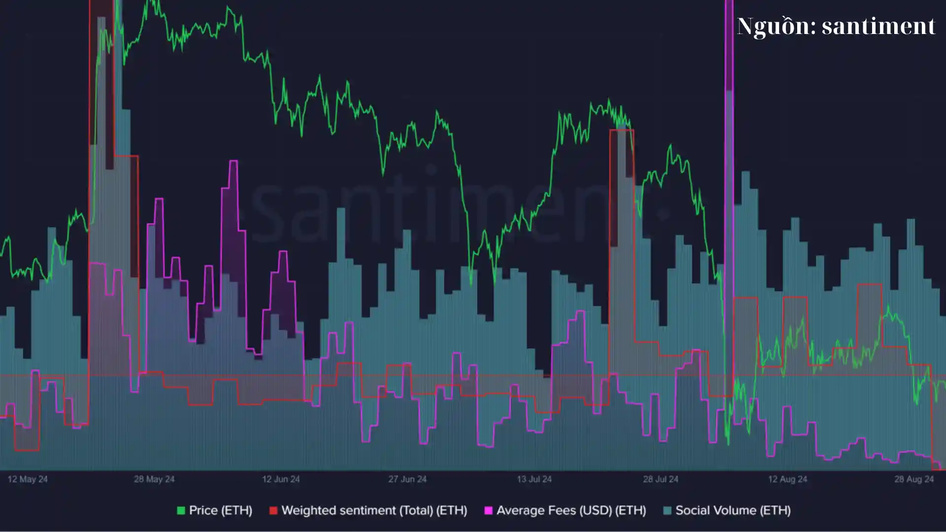 Giá Ethereum Có Thể Suy Giảm Khi Hai Tổ Chức Này Quyết Định Bán ETH - Ngày 28/09/2024