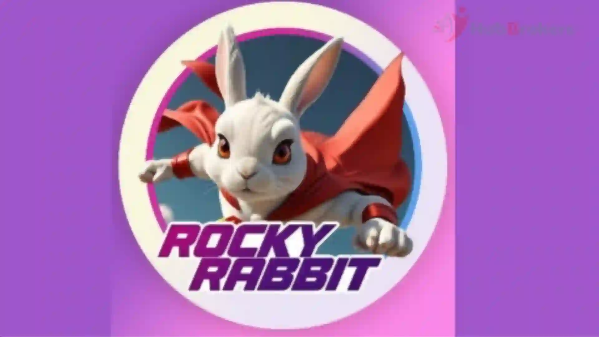 Làm sao để có thể kiếm được nhiều coin nhất trước khi Rocky Rabbit airdrop? - Ngày 08/09/2024