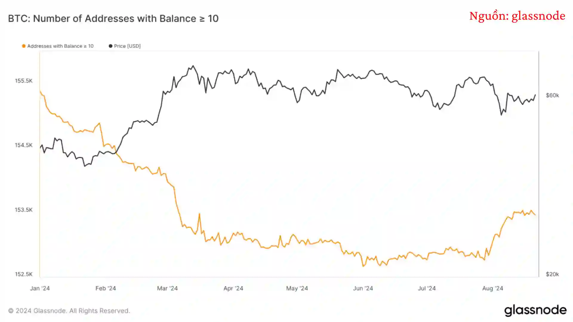 Số Lượng Địa Chỉ Bitcoin Có Ít Nhất 10 BTC Phục Hồi Sau Suy Giảm Quý 1 - Ngày 23/08/2024