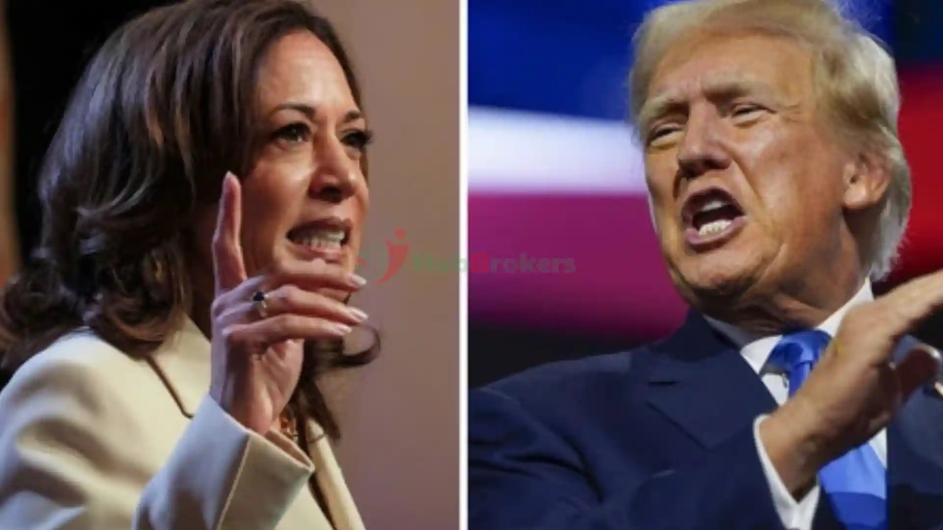 Đồng Đô La Áp Lực Giữa Hai Lựa Bầu Cử Ông Trump Và Bà Harris - Ngày 12/10/2024