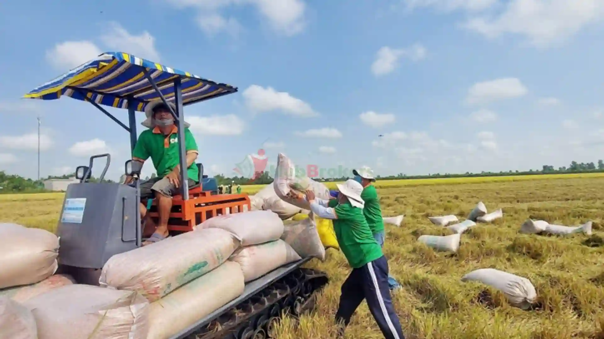Người Mỹ Đổ Tiền Vào Nông Sản Việt, Một Số Mặt Hàng Đạt Doanh Thu Tỷ USD - Ngày 21/08/2024